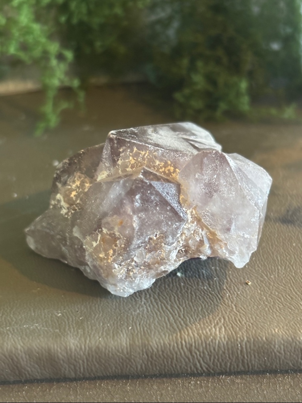 Cactus Amethyst Quartz